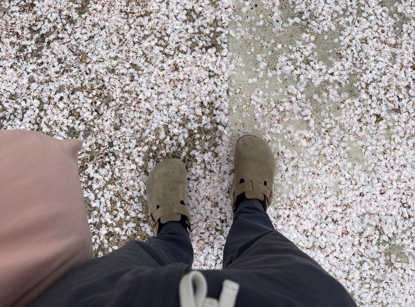 Poem Seeds