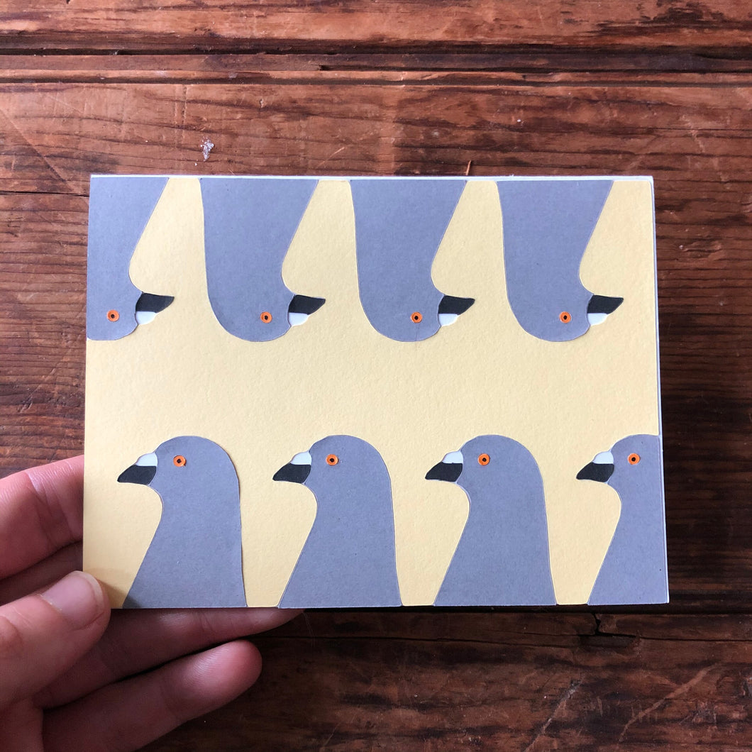 Pigeon Card